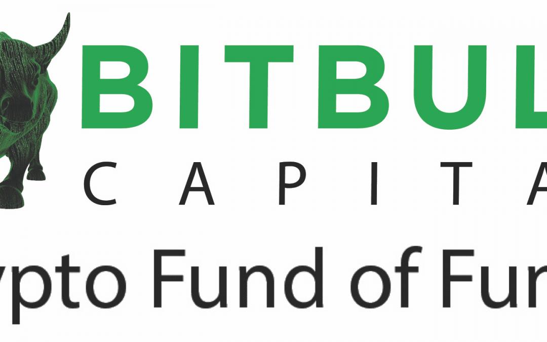 BitBull Capital – Crypto Hedge Fund
