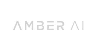 Amber AI Group – Fund Info