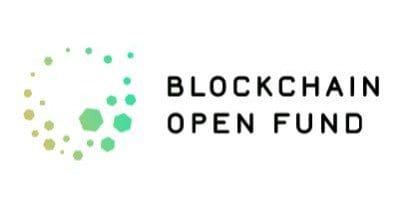 Blockchain Open Fund – Fund Info