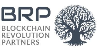 Blockchain Revolution Partners – Fund Info