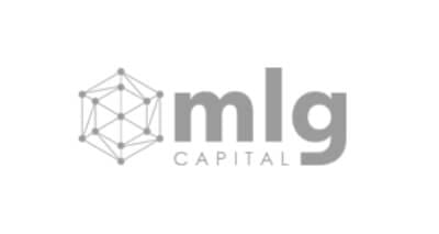 MLG Capital – Fund Info