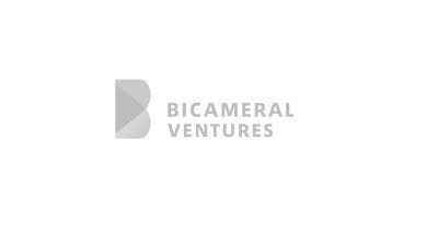 Bicameral Ventures – Fund Info